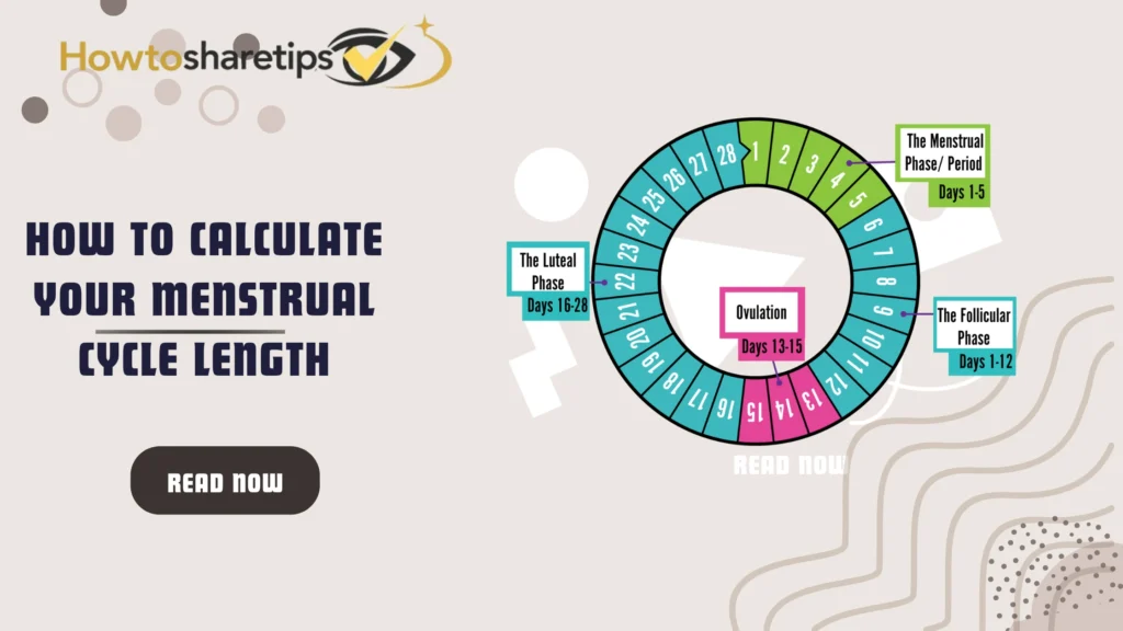 How To Calculate Your Menstrual Cycle Length