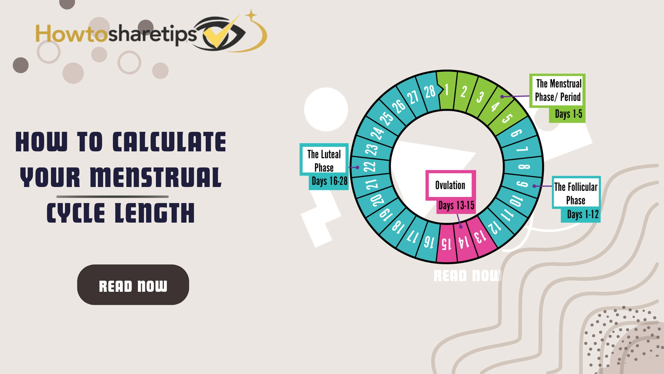 How To Calculate Your Menstrual Cycle Length