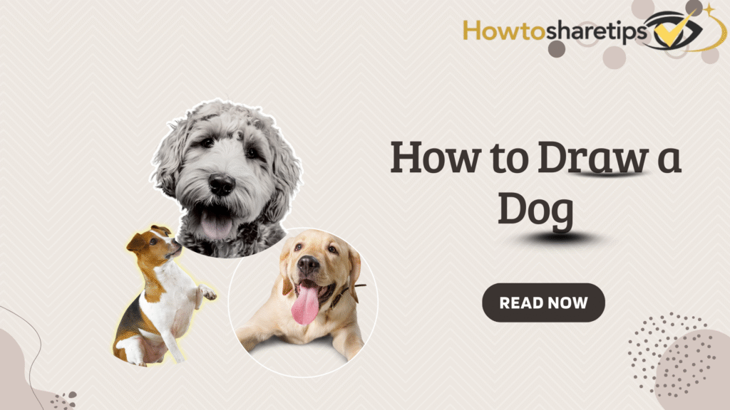 How to Draw a Dog? 7 Easy and Fun Ways